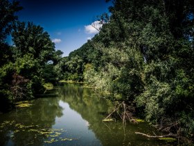 Wasserpark in der Tullner Au, © Stadtgemeinde Tulln